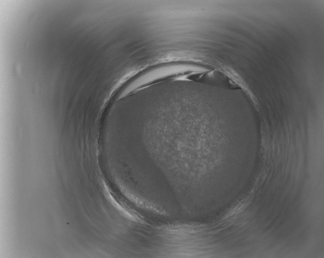 X0000058140530200510072034