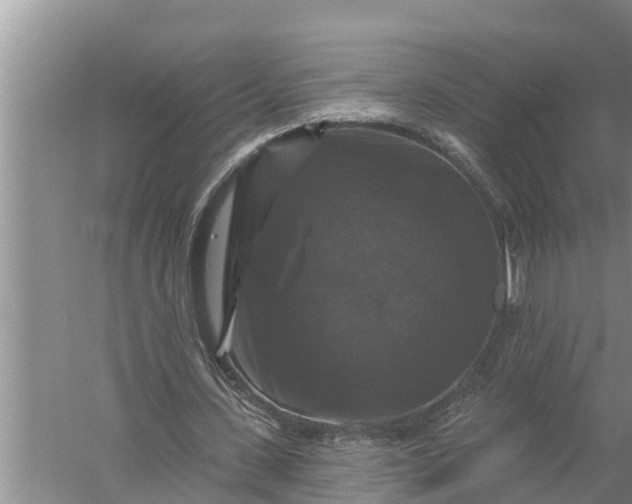 X0000058140531200510072034