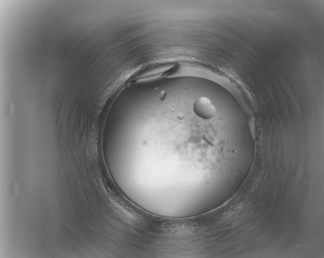 X0000058140533200510072034