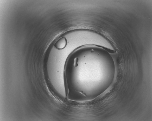 X0000058140534200510072034