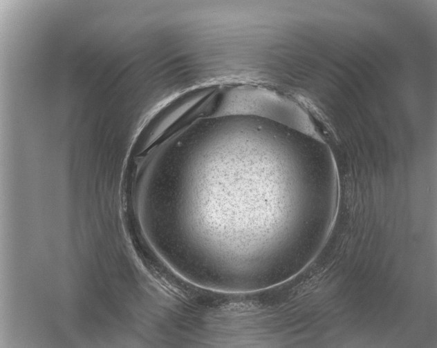 X0000058140536200510072034