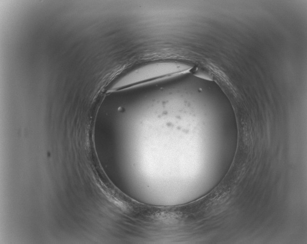 X0000058140537200510072034