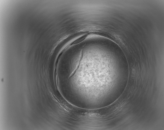 X0000058140539200510072034