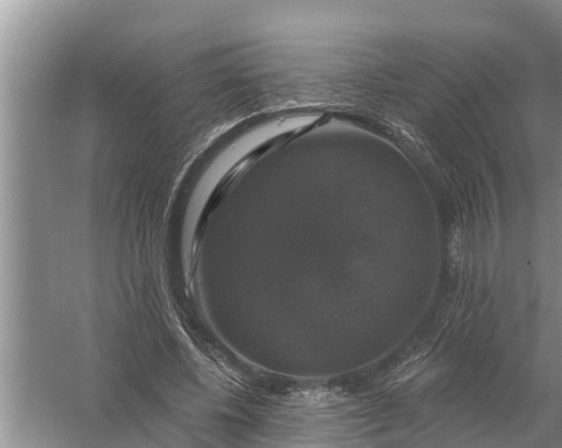 X0000058140540200510072034