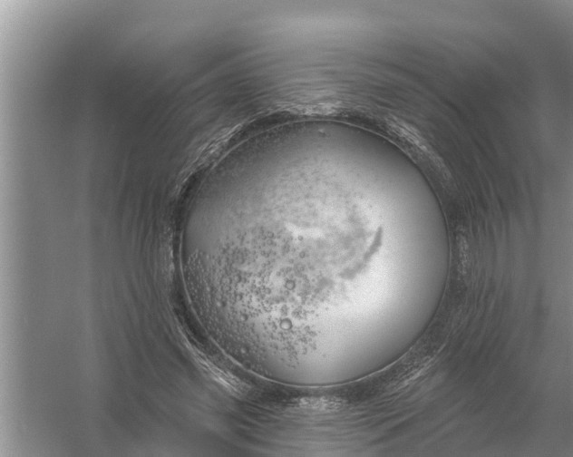 X0000058140541200510072034