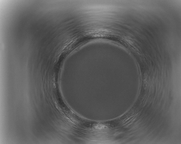 X0000058140547200510072034