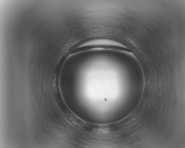 X0000058140548200510072034