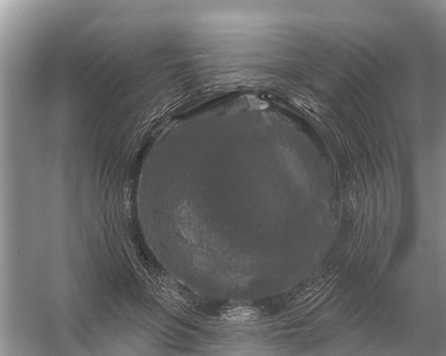 X0000058140551200510072034