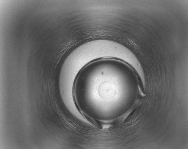 X0000058140552200510072034