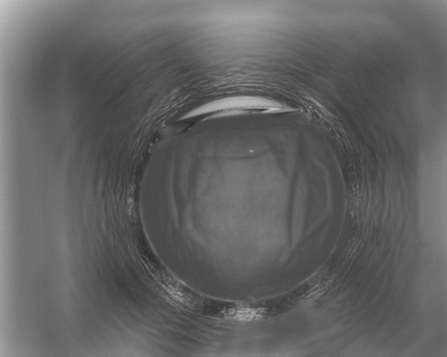 X0000058140553200510072034