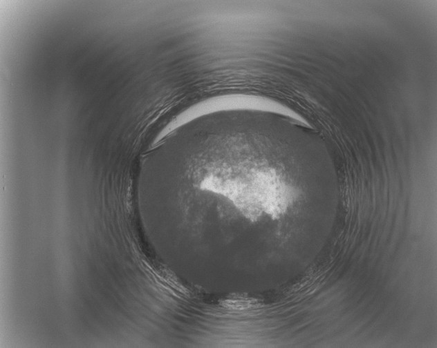 X0000058140556200510072034