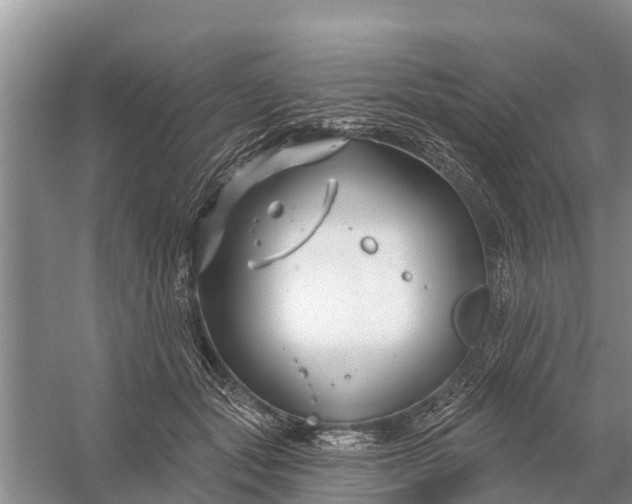 X0000058140557200510072034