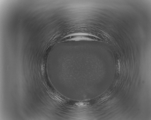 X0000058140558200510072034