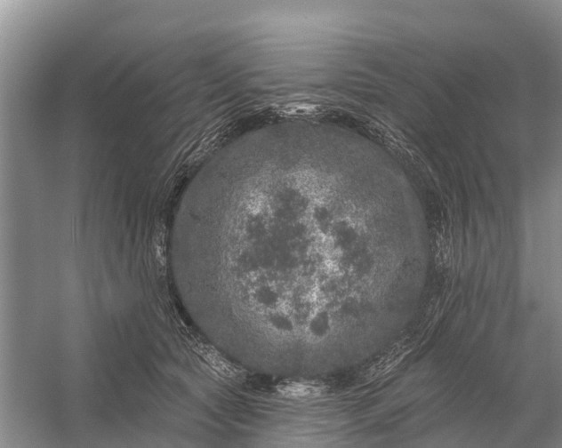 X0000058140561200510072034