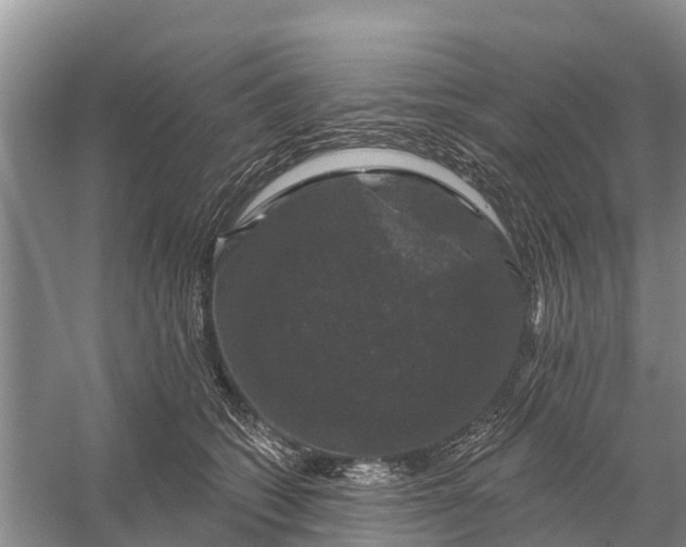 X0000058140562200510072034