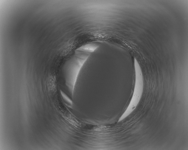 X0000058140563200510072034