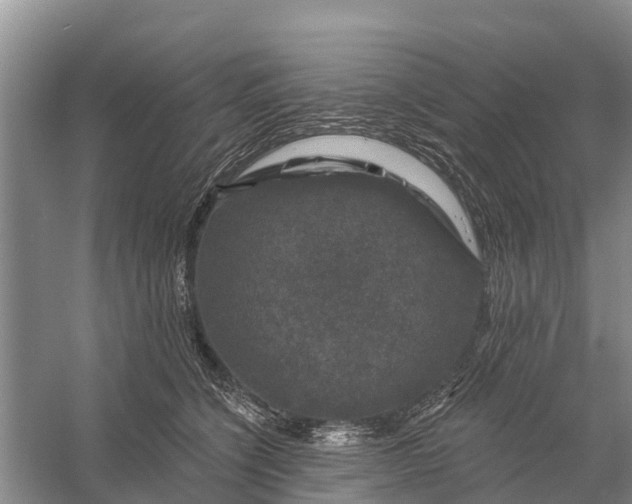 X0000058140564200510072034