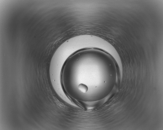 X0000058140570200510072034