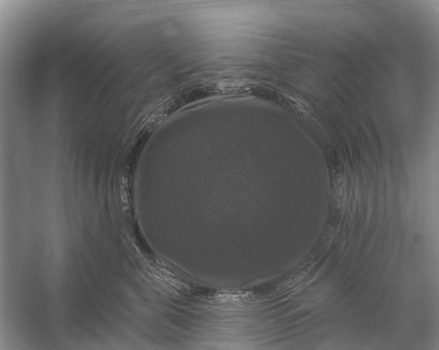 X0000058140571200510072034