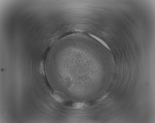 X0000058140575200510072034