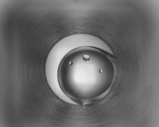 X0000058140576200510072034