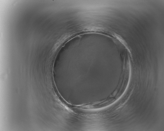 X0000058140577200510072034