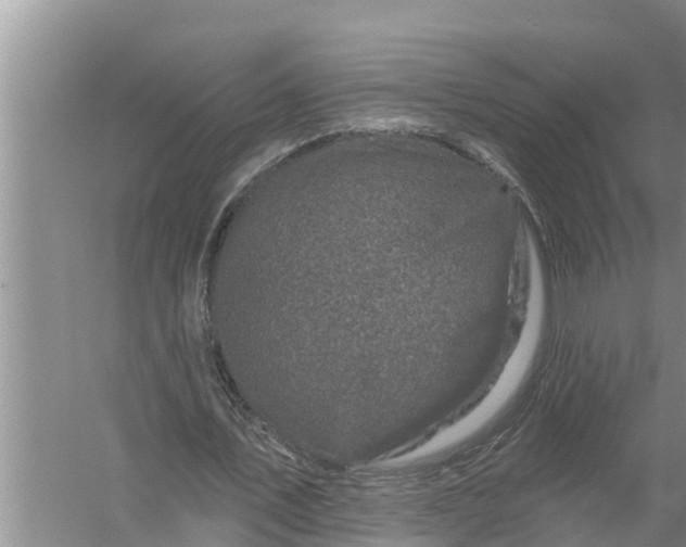 X0000058140579200510072034