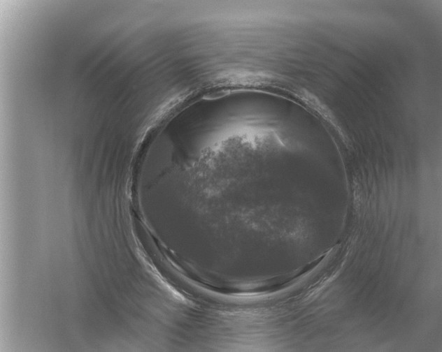 X0000058140581200510072034