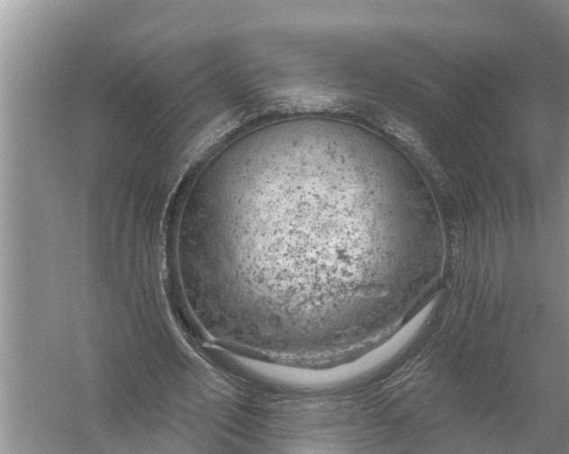 X0000058140582200510072033