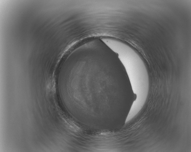 X0000058140584200510072033