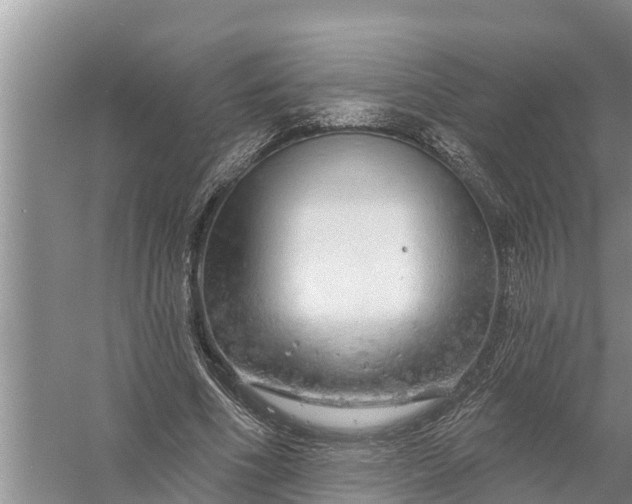 X0000058140586200510072033