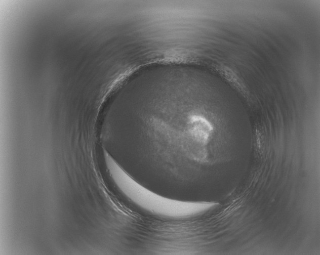 X0000058140588200510072033