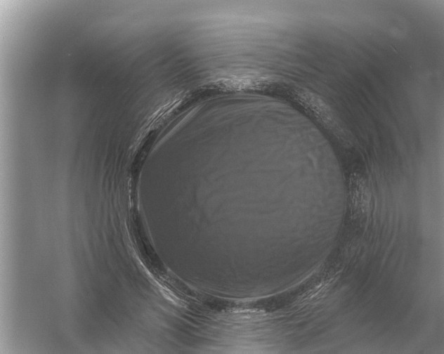 X0000058140590200510072033