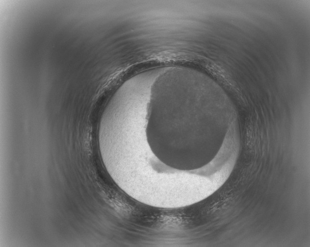 X0000058140592200510072033