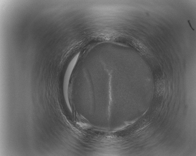 X0000058140594200510072033