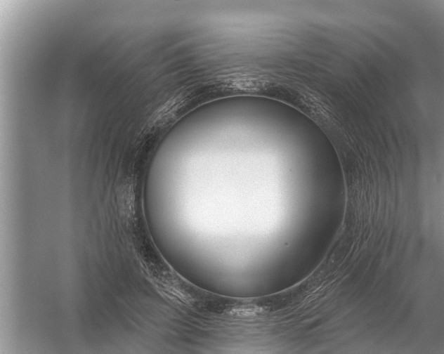 X0000058140595200510072033