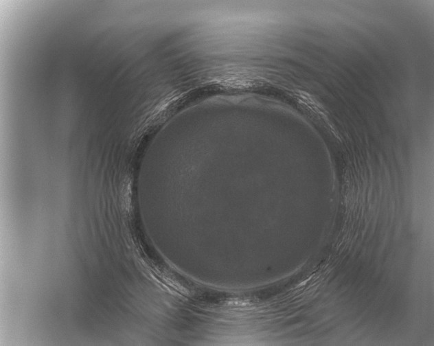 X0000058140596200510072033