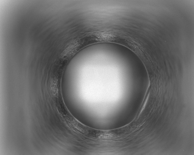 X0000058140599200510072033