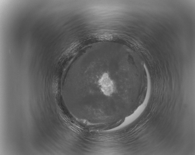 X0000058140600200510072033