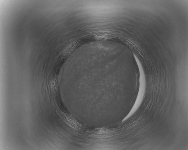 X0000058140601200510072033