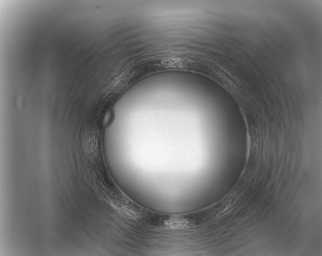 X0000058140603200510072033