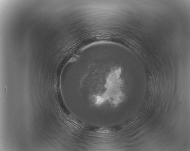 X0000058140604200510072033