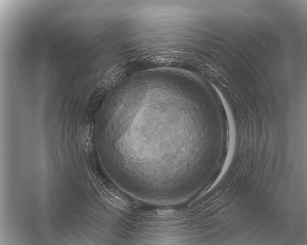 X0000058140605200510072033