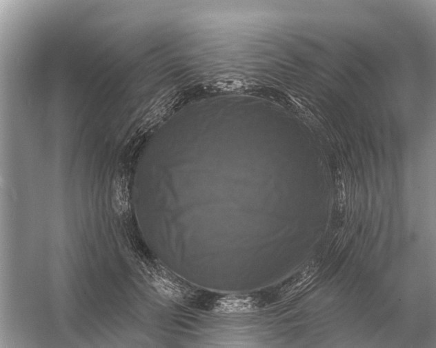 X0000058140606200510072033