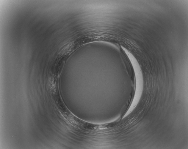 X0000058140607200510072033