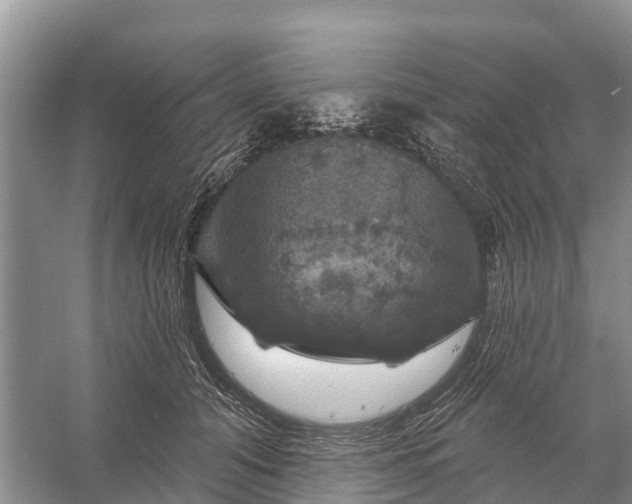 X0000058140608200510072033