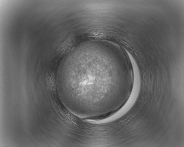 X0000058140609200510072033