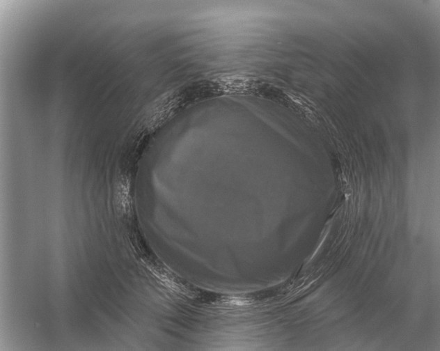 X0000058140610200510072033