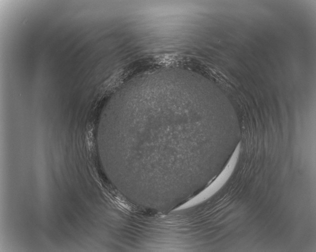 X0000058140611200510072033