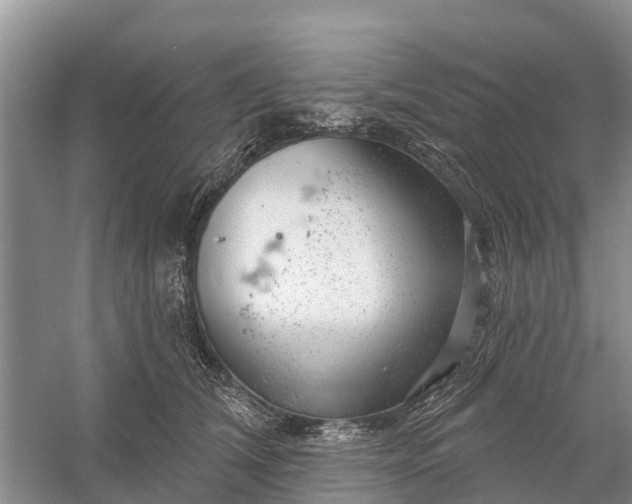 X0000058140612200510072033